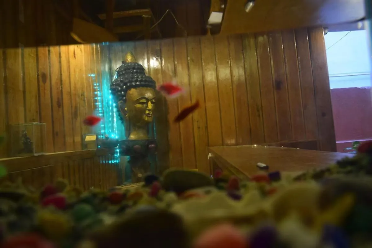 Hotel Shree Tara Κατμαντού